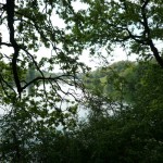 forest-lake-musique21-huillet